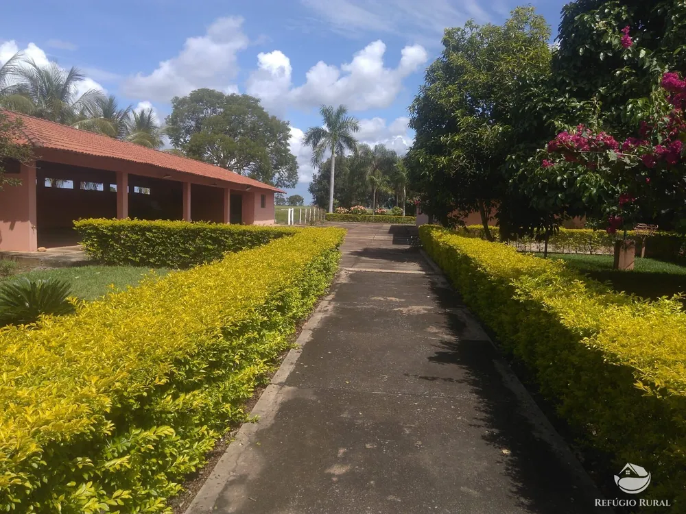 Fazenda, 4859 hectares - Foto 1