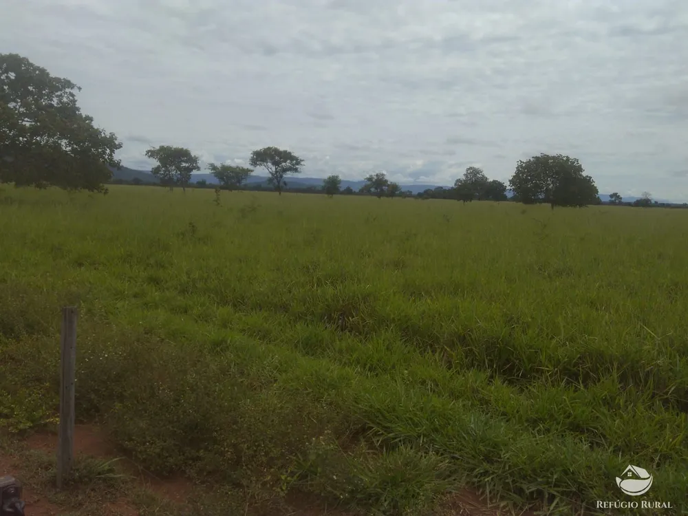 Fazenda, 4859 hectares - Foto 16