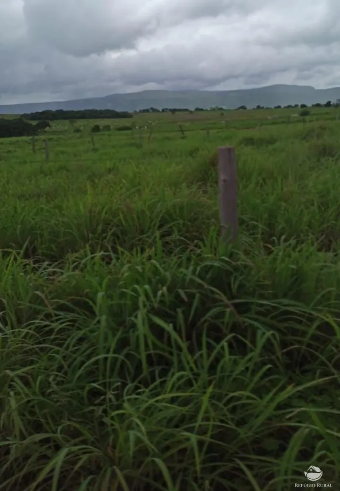 Fazenda, 4859 hectares - Foto 9