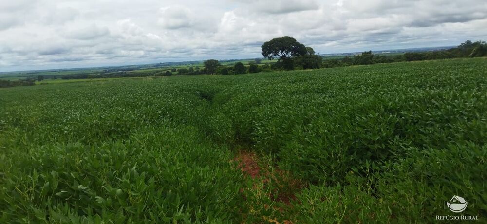 Fazenda, 24 hectares - Foto 3