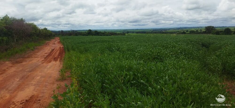 Fazenda, 24 hectares - Foto 4