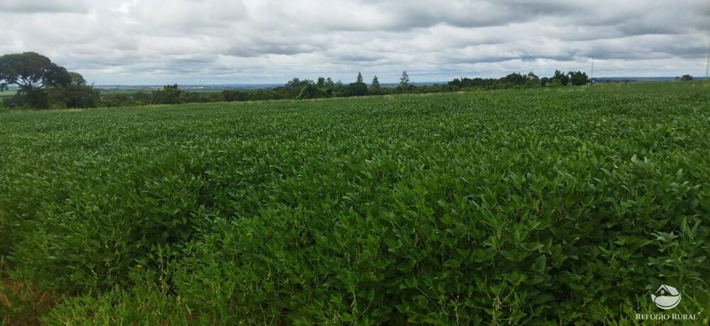 Fazenda, 24 hectares - Foto 2