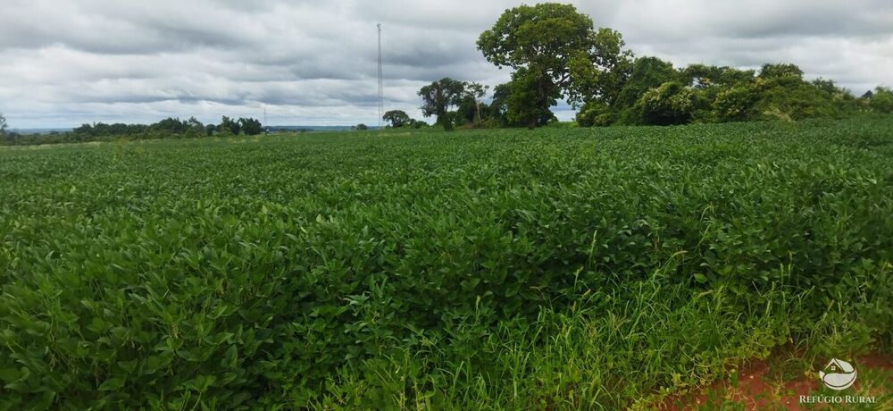 Fazenda, 24 hectares - Foto 1