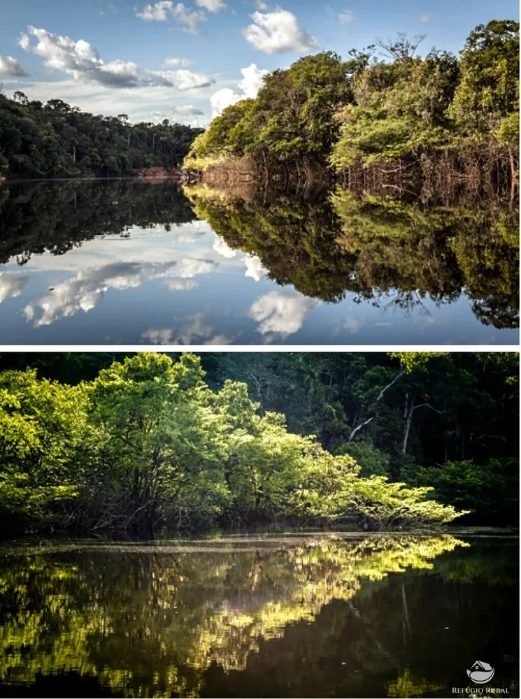 Fazenda, 36583 hectares - Foto 4