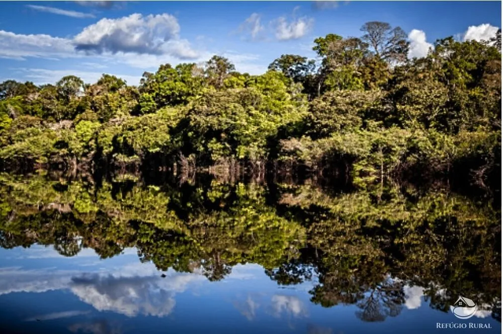 Fazenda, 36583 hectares - Foto 2