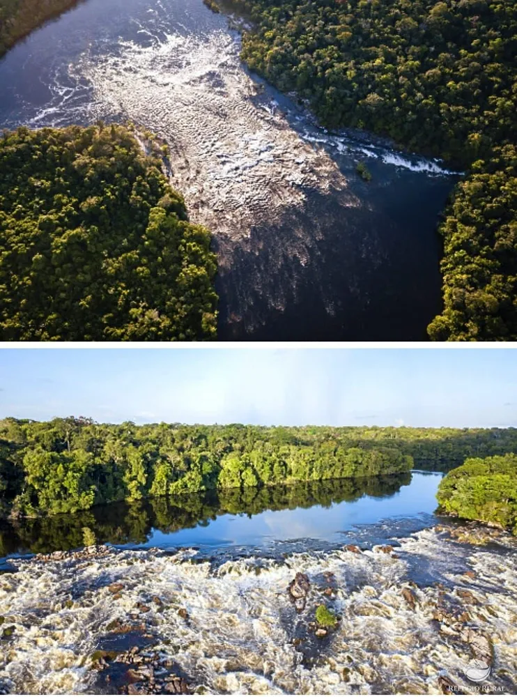 Fazenda, 36583 hectares - Foto 3