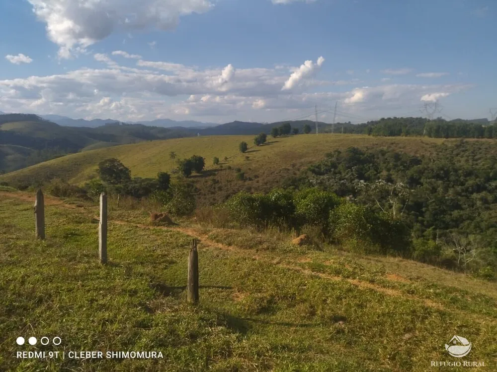 Terreno, 2 hectares - Foto 7