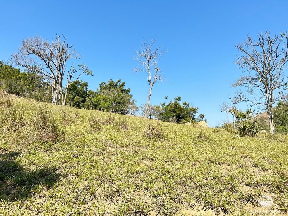 Terreno, 2 hectares - Foto 3