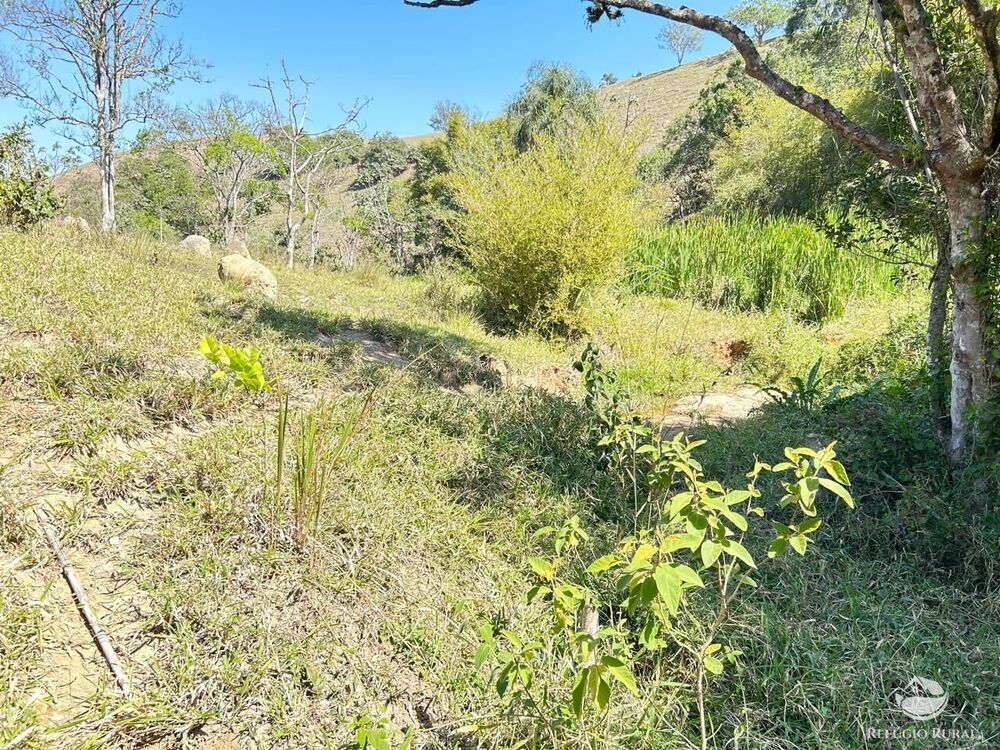 Terreno, 2 hectares - Foto 4