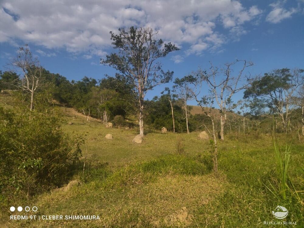 Terreno, 2 hectares - Foto 2