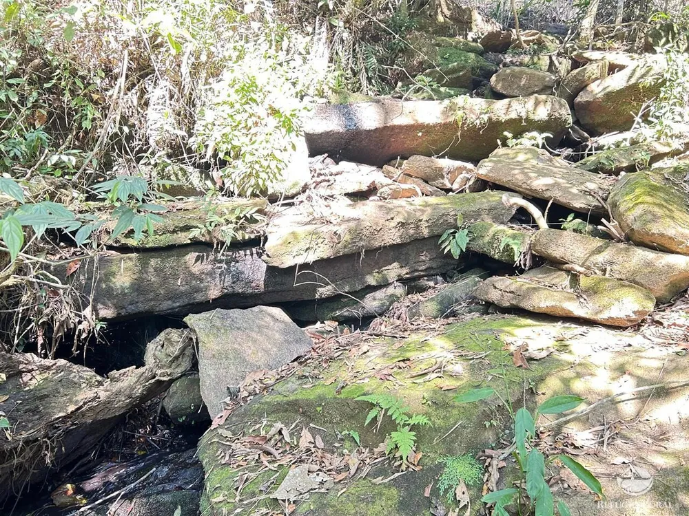 Terreno, 2 hectares - Foto 13