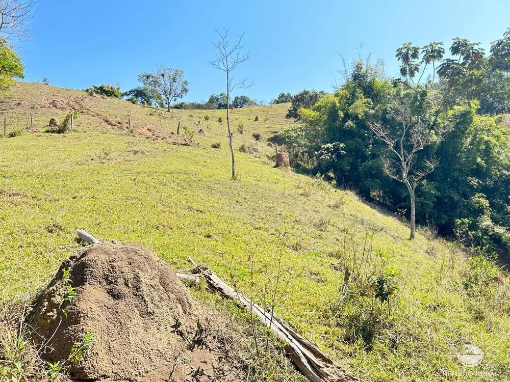 Terreno, 2 hectares - Foto 12