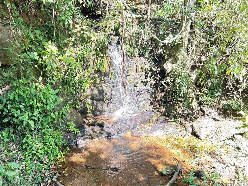 Terreno, 2 hectares - Foto 16