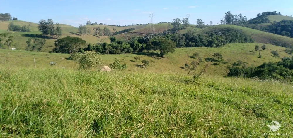 Sítio, 12 hectares - Foto 12