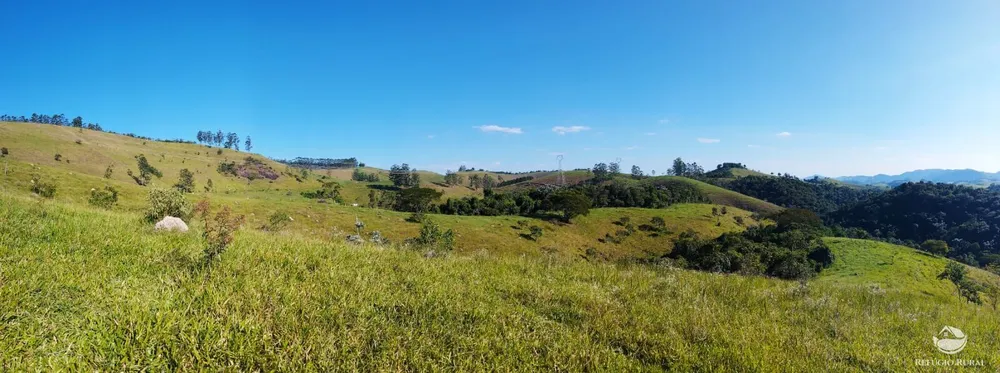 Sítio, 12 hectares - Foto 10
