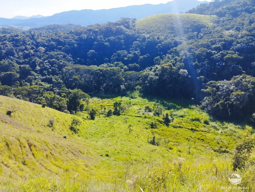 Sítio, 12 hectares - Foto 1