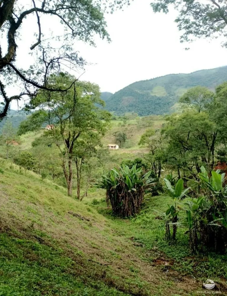 Sítio, 7 hectares - Foto 1