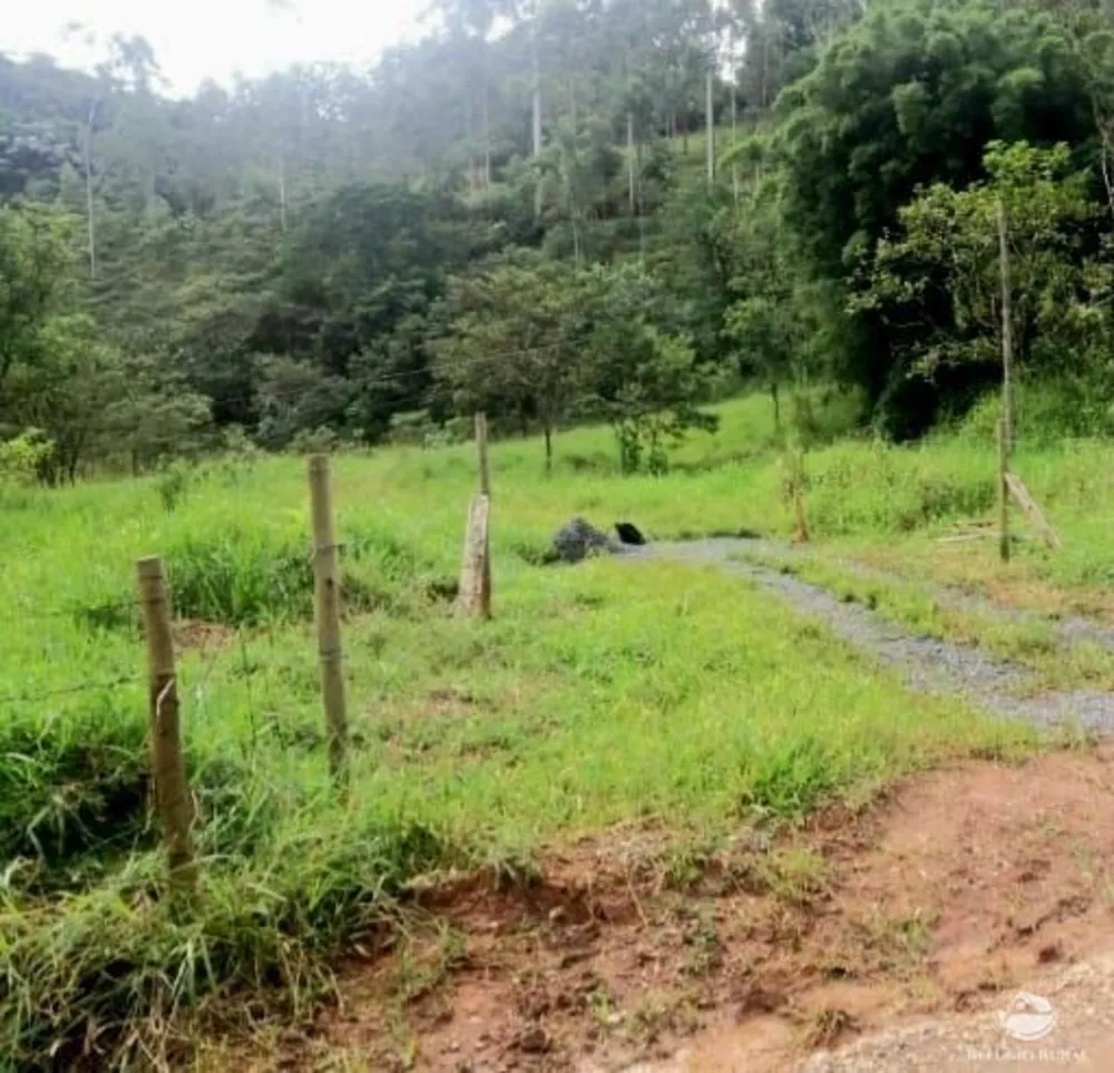 Sítio, 7 hectares - Foto 3