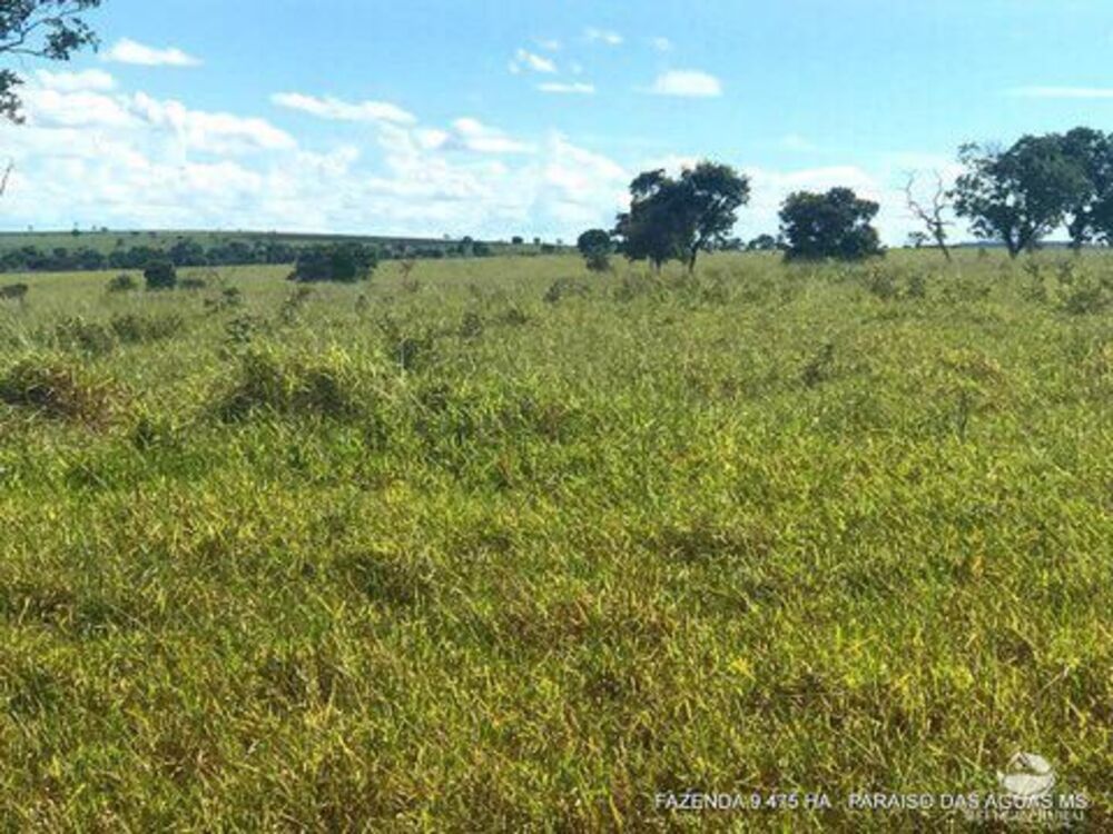 Fazenda à venda com 17 quartos, 94750000m² - Foto 2