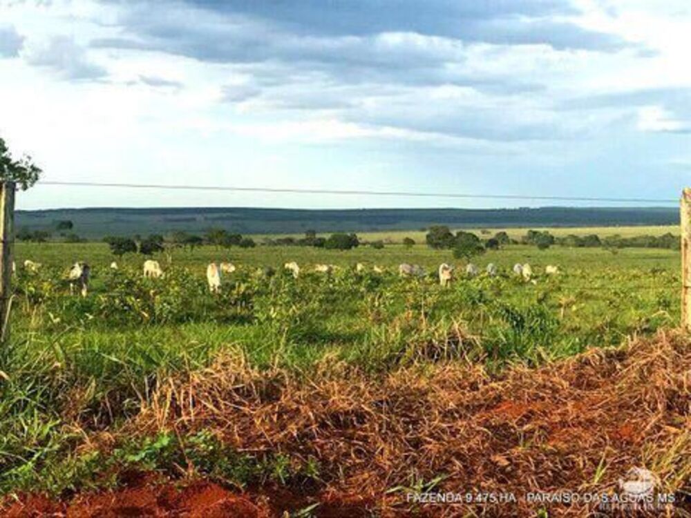 Fazenda à venda com 17 quartos, 94750000m² - Foto 4