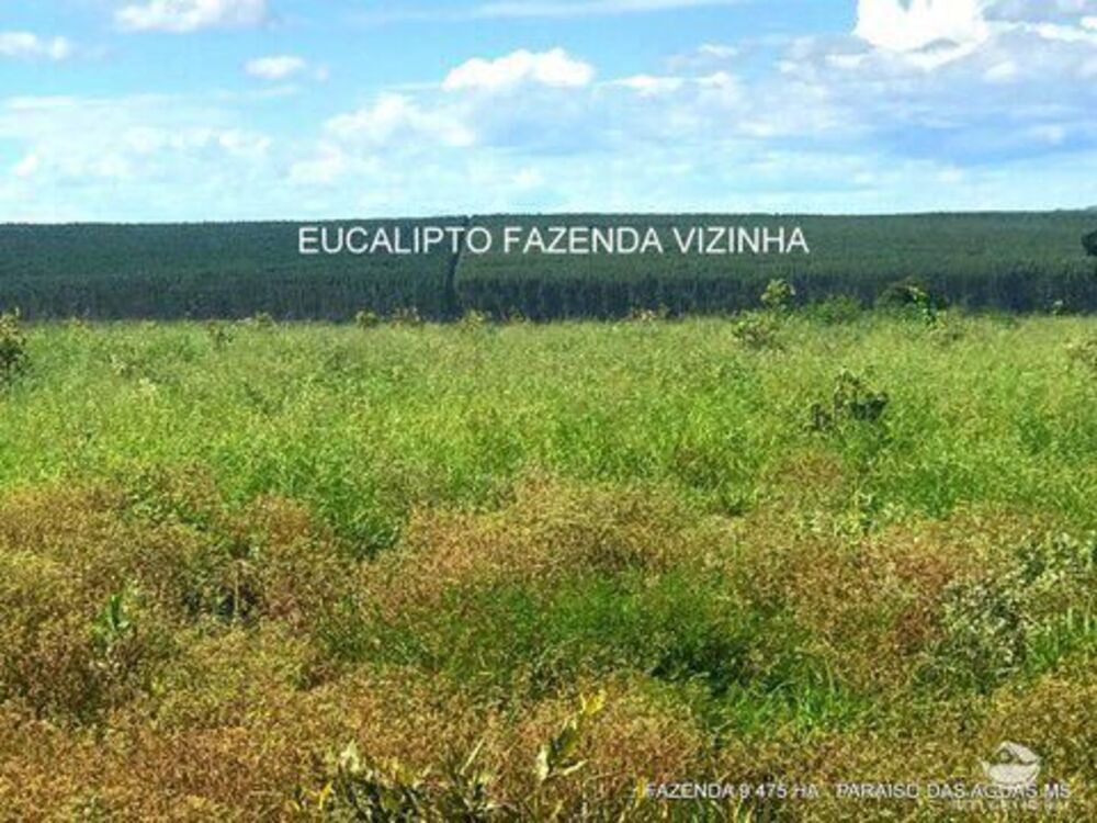 Fazenda à venda com 17 quartos, 94750000m² - Foto 3