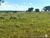 Fazenda, 9475 hectares - Foto 2