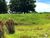 Fazenda, 9475 hectares - Foto 1