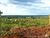 Fazenda, 9475 hectares - Foto 4