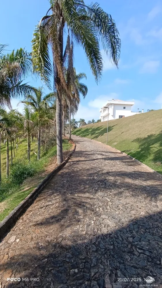 Sítio, 29 hectares - Foto 4