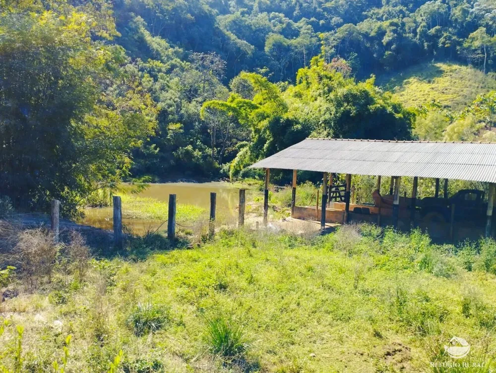 Fazenda, 121 hectares - Foto 10