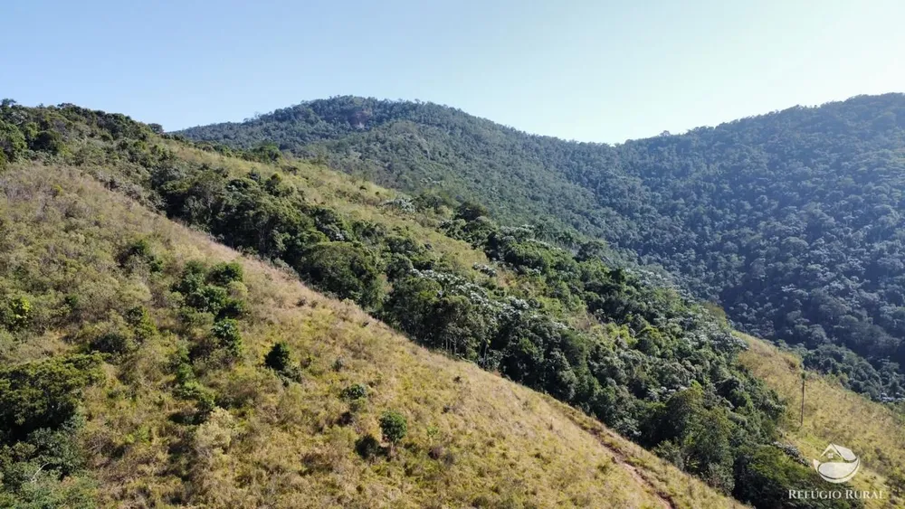Fazenda, 121 hectares - Foto 6