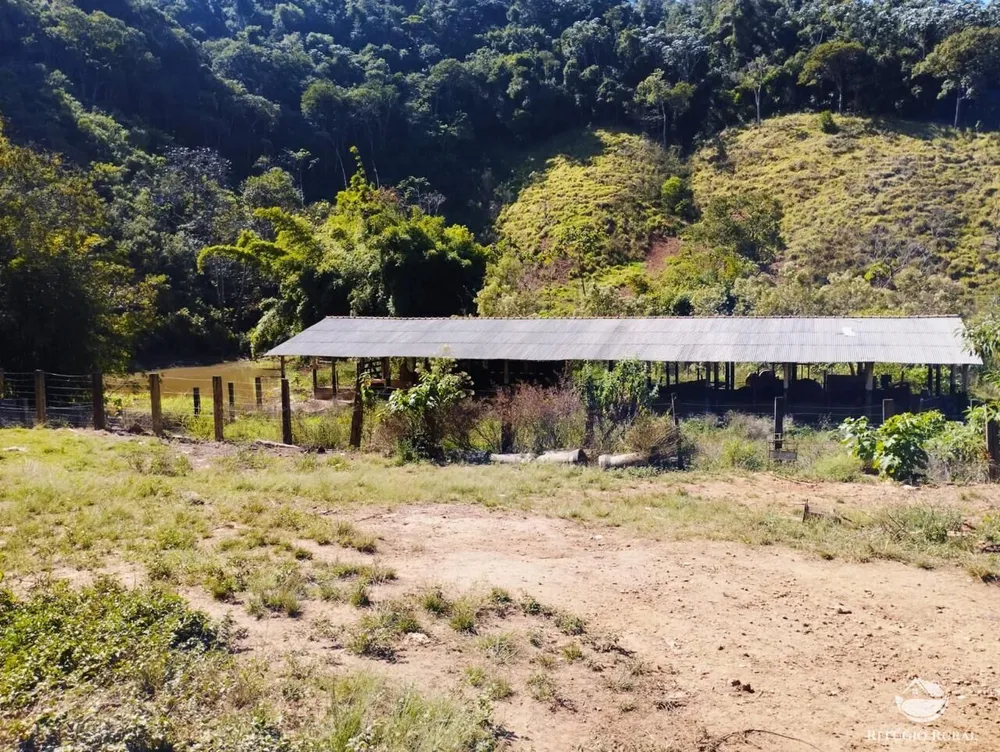 Fazenda, 121 hectares - Foto 13
