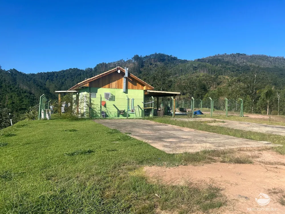 Sítio, 3 hectares - Foto 11