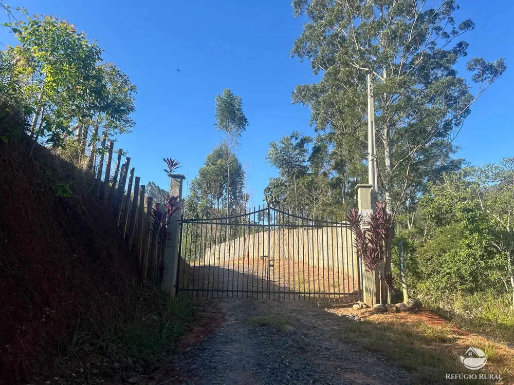 Sítio, 3 hectares - Foto 1