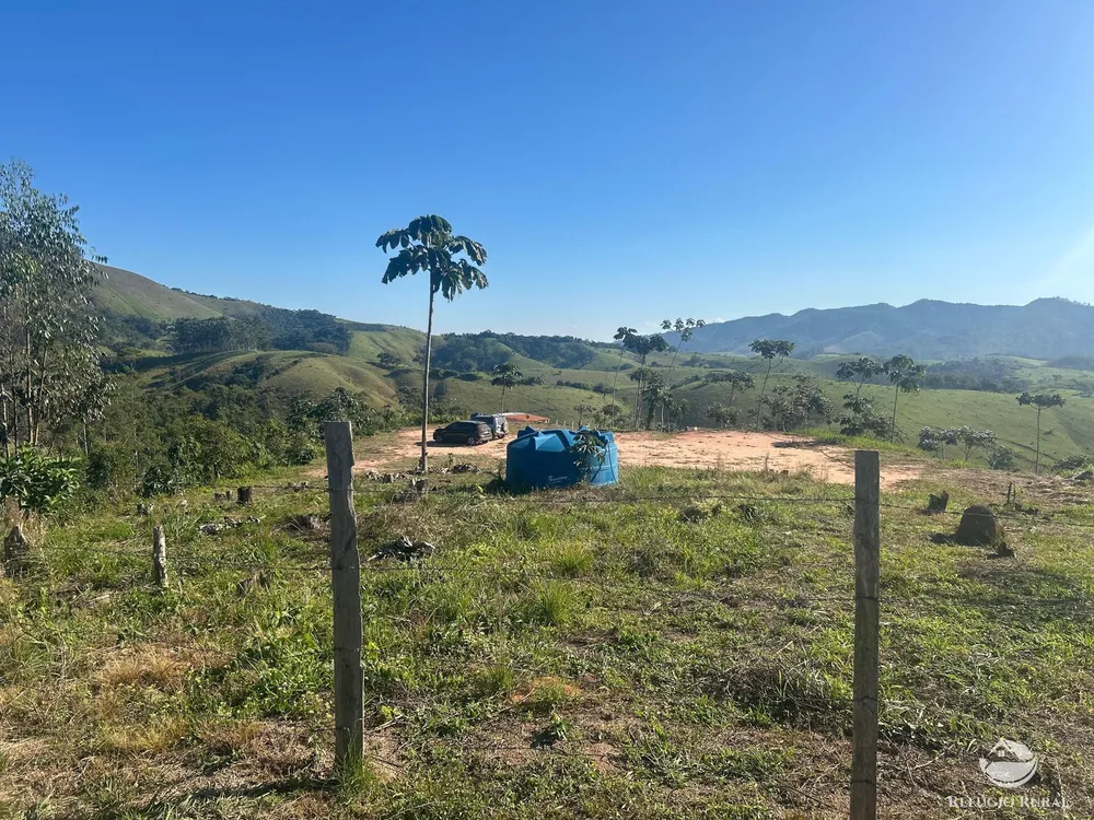 Sítio, 3 hectares - Foto 12