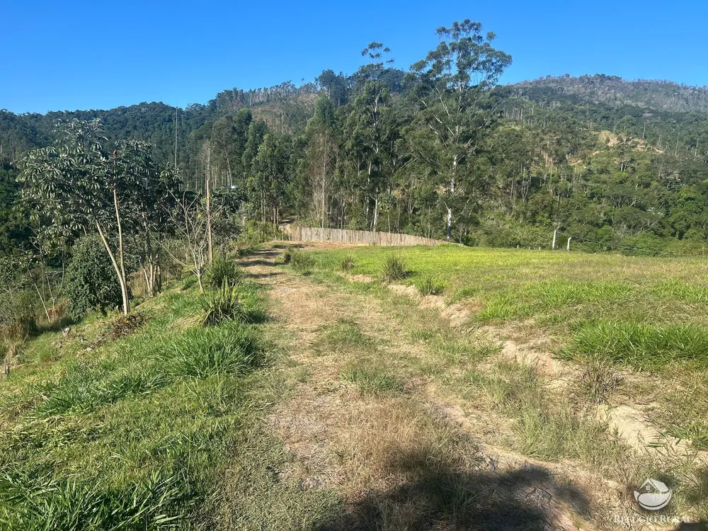 Sítio, 3 hectares - Foto 7