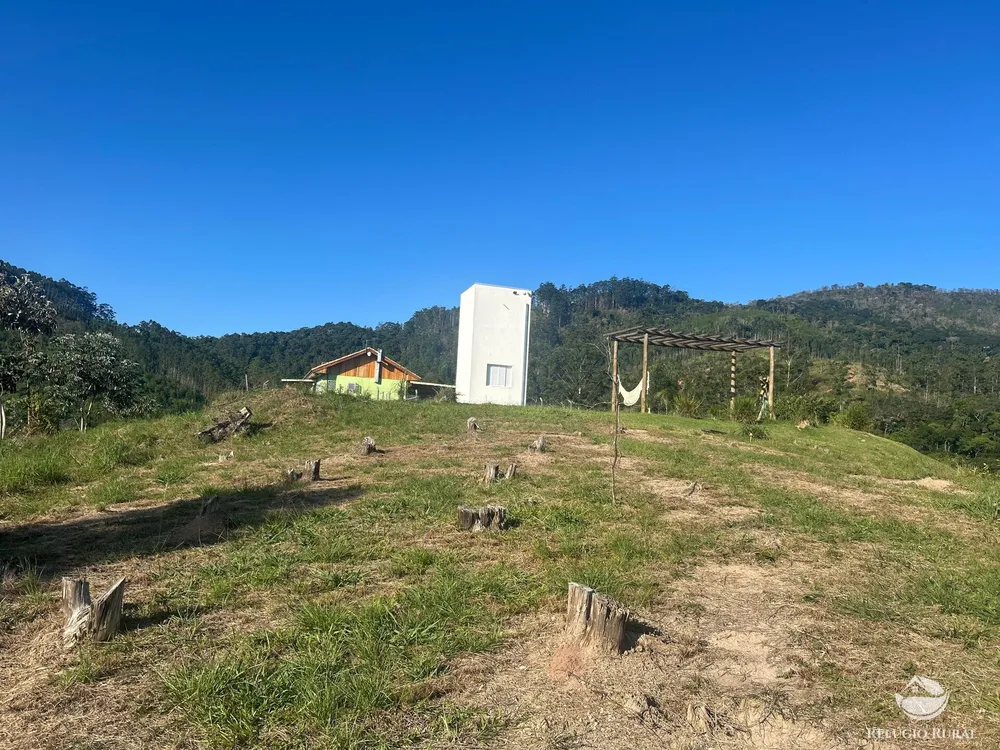 Sítio, 3 hectares - Foto 4