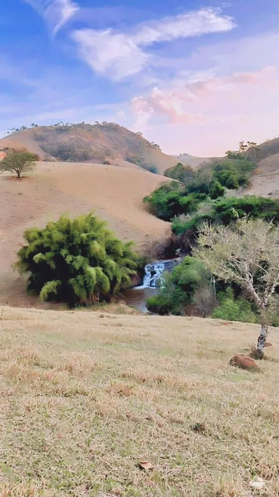 Terreno, 5 hectares - Foto 6