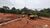 Fazenda, 1563 hectares - Foto 4