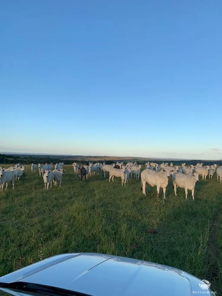 Fazenda, 1490 hectares - Foto 9