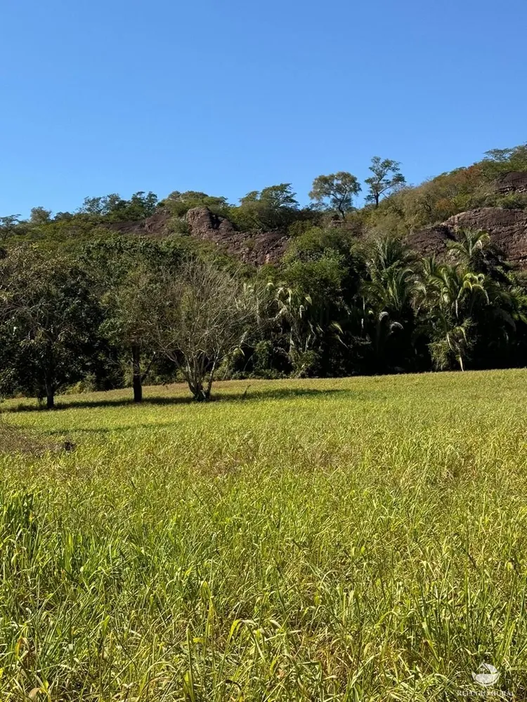 Fazenda, 1490 hectares - Foto 2