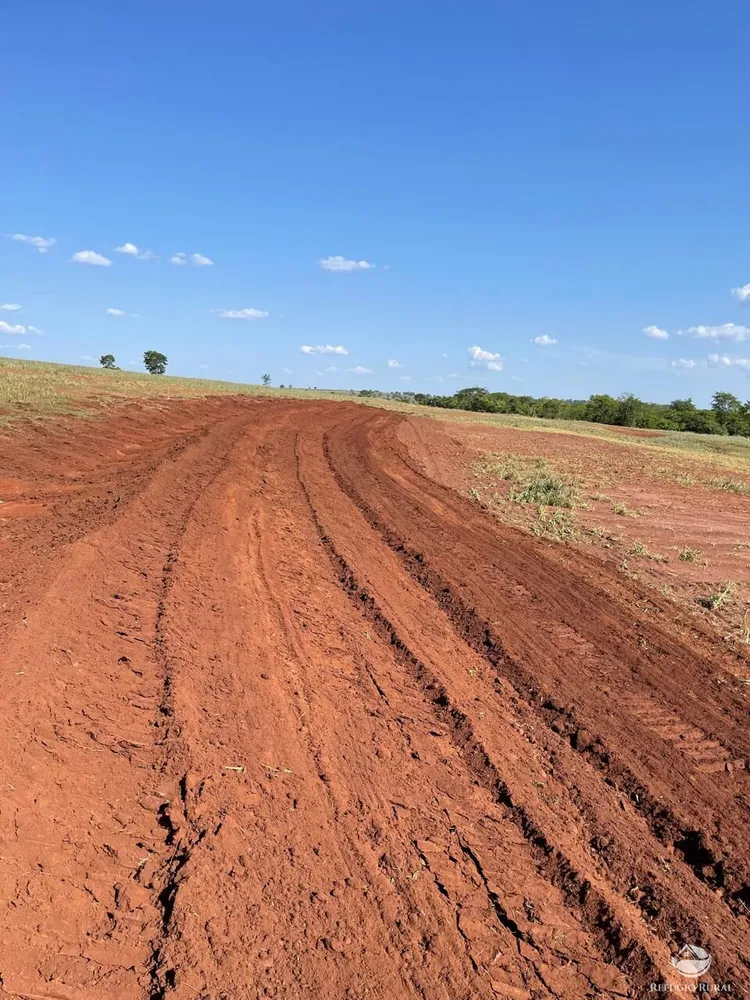 Fazenda, 722 hectares - Foto 4