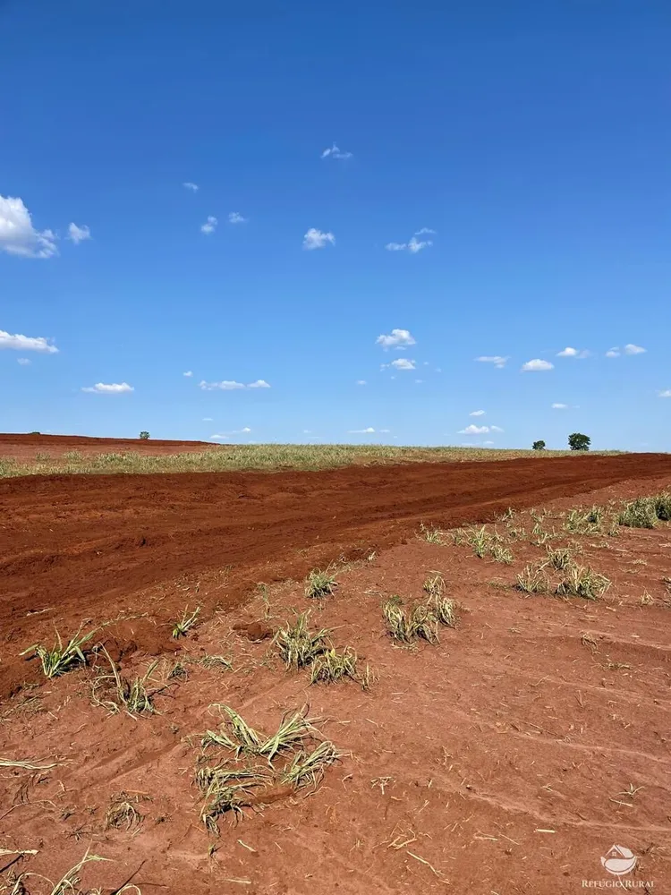 Fazenda, 722 hectares - Foto 2