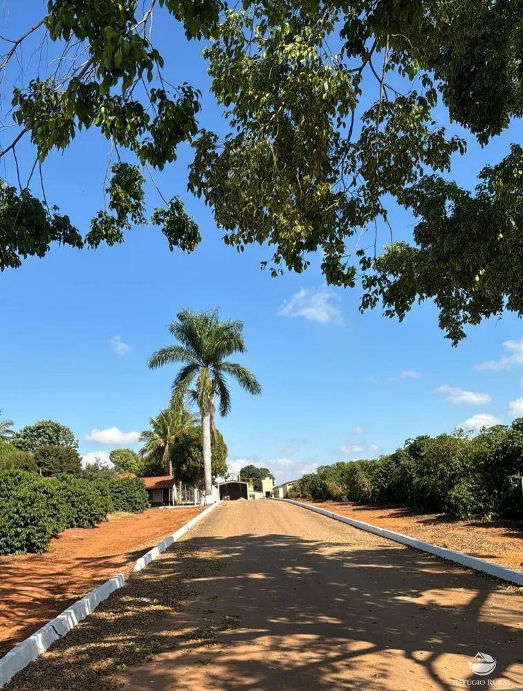 Fazenda, 130 hectares - Foto 8