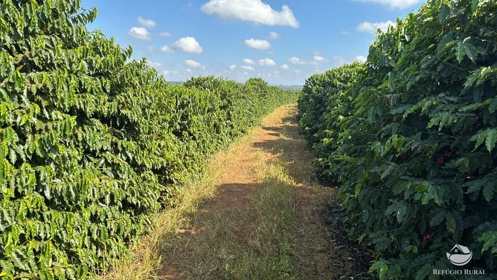 Fazenda, 130 hectares - Foto 2