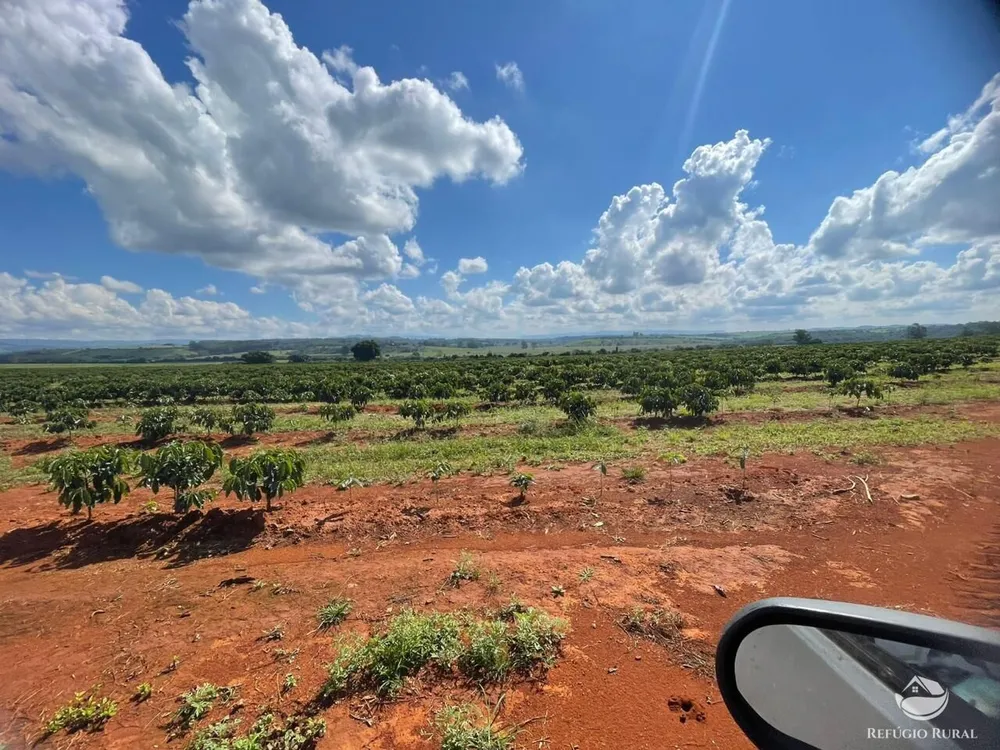 Fazenda, 130 hectares - Foto 11