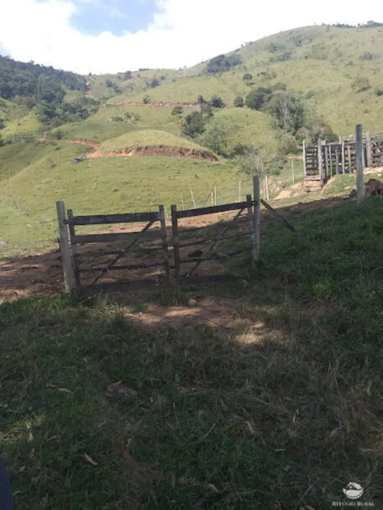 Fazenda, 61 hectares - Foto 3