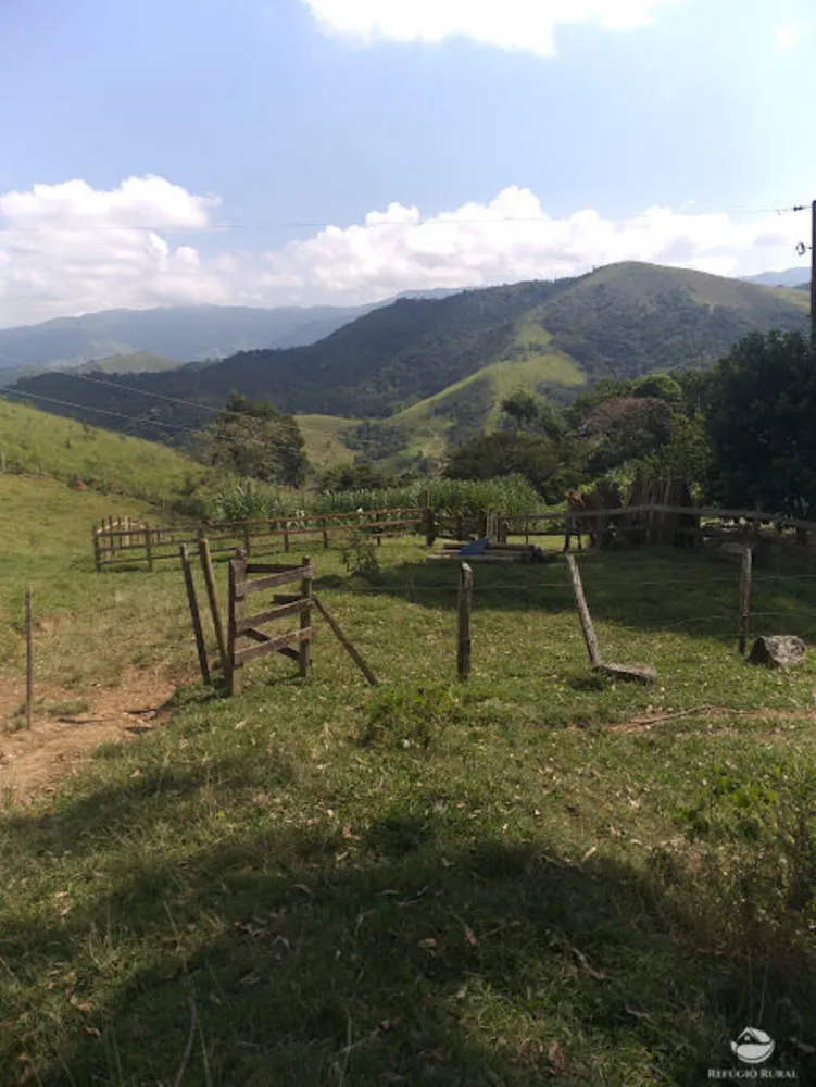Fazenda, 61 hectares - Foto 5