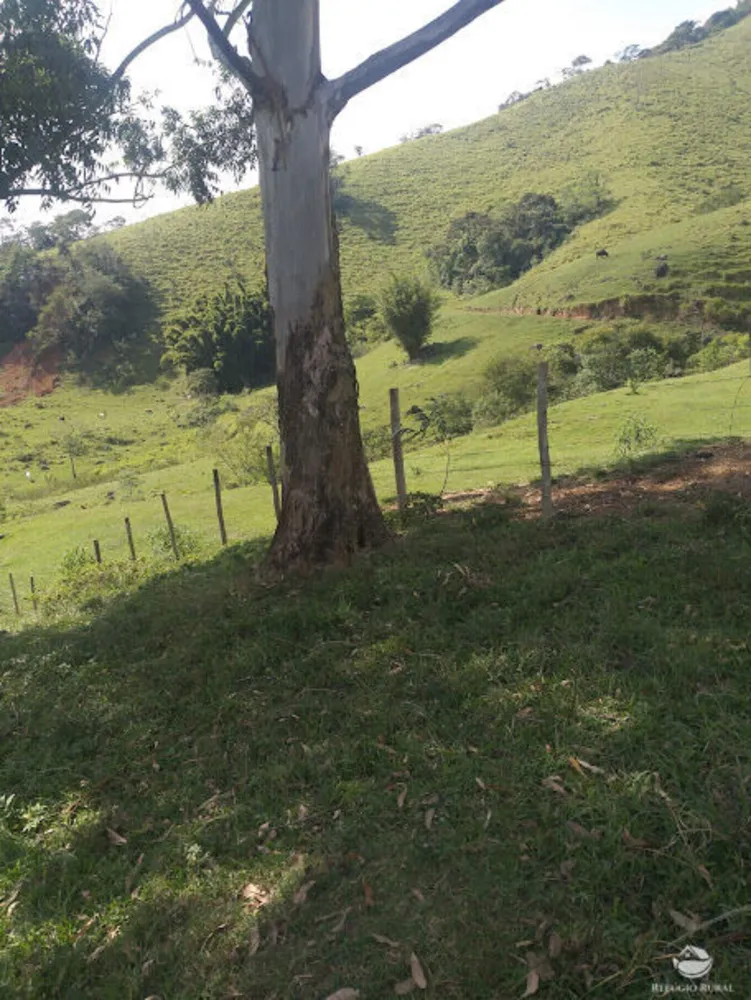 Fazenda, 61 hectares - Foto 2