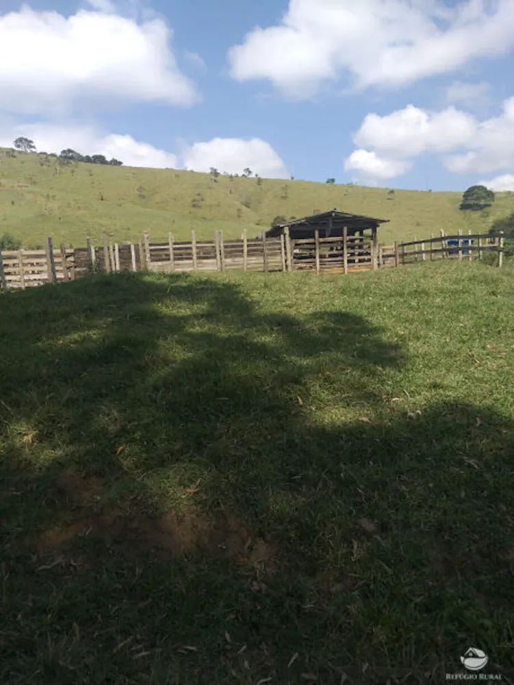 Fazenda, 61 hectares - Foto 1